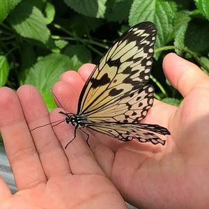 Meet your Posher, Lilit